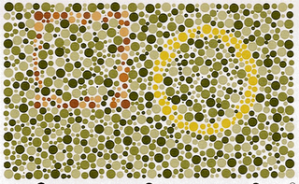 mata normal bisa melihat kotak coklat dan lingkaran kuning,  mata buta warna hanya bisa melihat lingkaran kuning.